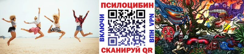 Купить где  Карачев  Галлюциногенные грибы прущие грибы 